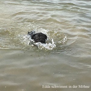 mops_edda-von-frentrop_18